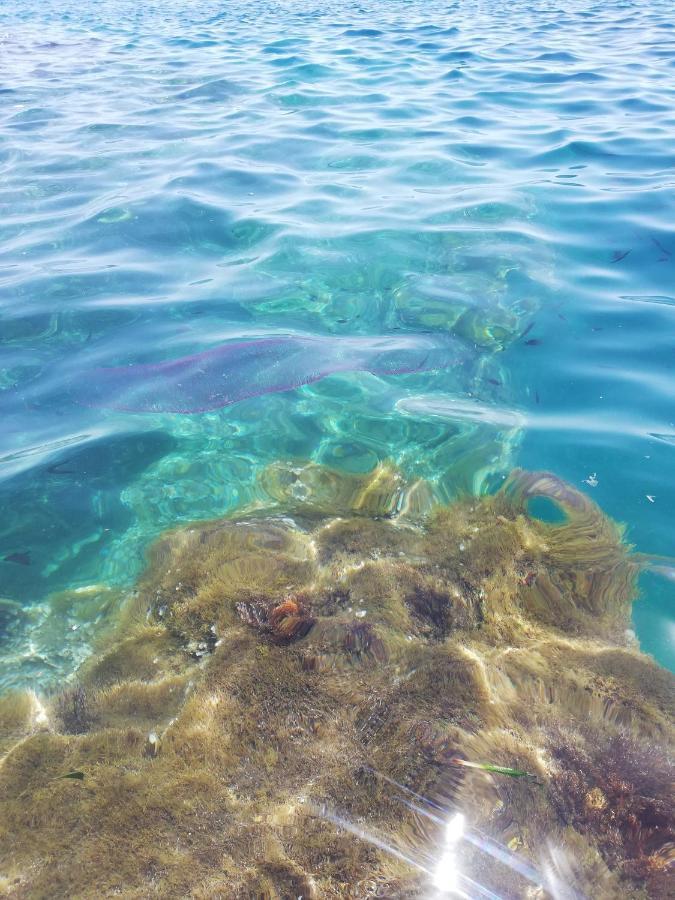 La Veranda Sul Mare Augusta Bagian luar foto
